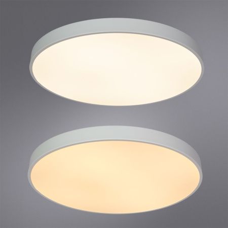 Светильник накладной Arte Lamp Arena (Арена) A2671PL-1WH