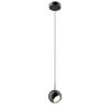 Светильник подвесной Delight Collection MD2826-1B black/gold
