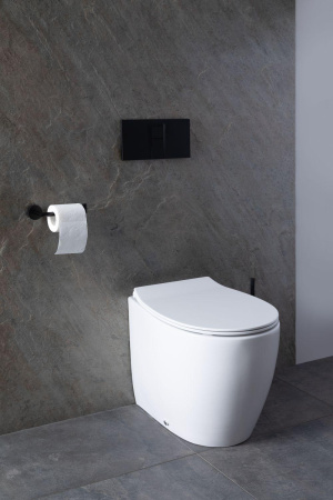 Унитаз приставной Allen Brau Fantasy 4.11007.20 белый с сиденьем микролифт безободковый каскадный смыв