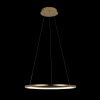 Светильник подвесной Loft It Ring 10014M