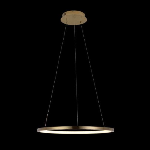 Светильник подвесной Loft It Ring 10014M - фото 4