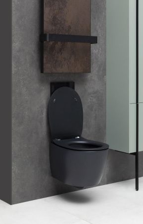 Чаша унитаза подвесная Allen Brau Fantasy 4.11004.31 цвет черный без сиденья безободковая каскадный смыв