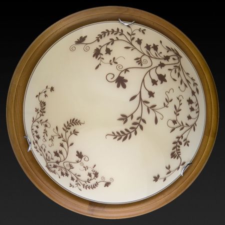 Светильник накладной Toplight Irene (Ирене) TL9630Y-00OA