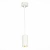 Светильник подвесной ST Luce Zoom (Зоом) ST600.533.10