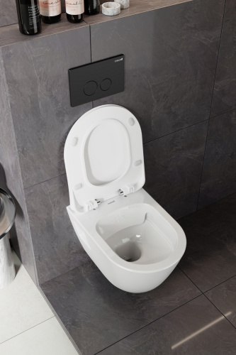 Чаша унитаза подвесная Creavit Terra TP329-11CB00E-0000 цвет белый без сиденья смыв торнадо - фото 3