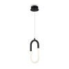 Светильник подвесной Freya Magnet (Магнит) FR6106PL-L13B