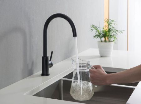 Смеситель для кухни Aquatek ЕВРОПА AQ1382MB на мойку черный