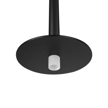 Светильник подвесной Loft It Reed 10358/830 Disk