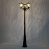 Уличный парковый светильник Citilux Forts (Фортс) CLU09P3