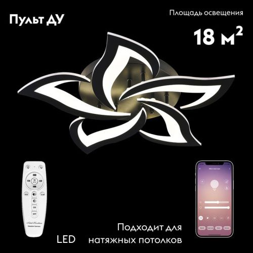 Люстра потолочная Natali Kovaltseva LED Light (ЛЕД Лигхт) INNOVATION STYLE 83002 BLACK - фото 2