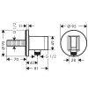 Шланговое подсоединение Hansgrohe Fixfit Square 26888700