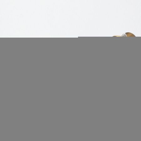 Смеситель для кухни Shevanik S178T на мойку оружейная сталь