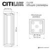 Уличный парковый светильник Citilux Genox (Генокс) CLU13B