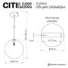 Светильник подвесной Citilux Orton (Ортон) CL202022