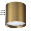 Уличный потолочный светильник Odeon Light Oben (Обен) 7128/8CL