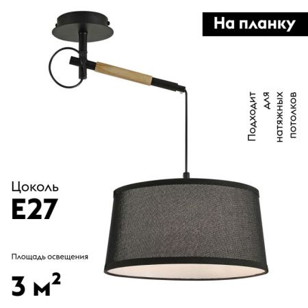 Настенно-потолочный светильник F-Promo Eureka (Еурека) 3006-1P