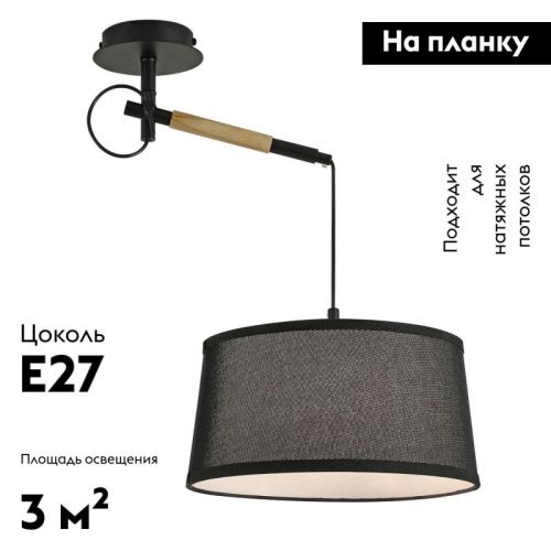Настенно-потолочный светильник F-Promo Eureka (Еурека) 3006-1P - фото 2