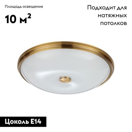 Настенно-потолочный светильник Odeon Light Pelow (Пелов) 4956/5