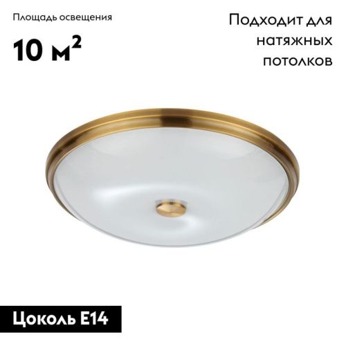 Настенно-потолочный светильник Odeon Light Pelow (Пелов) 4956/5 - фото 2