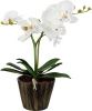 Настольная лампа Globo Flowerpower (Фловерповер) 28002