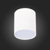 Светильник потолочный ST Luce Rene (Рене) ST113.532.05