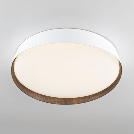 Светильник потолочный музыкальный Citilux Bonny (Бонны) CL754350G