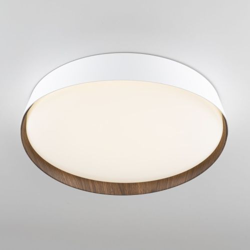 Светильник потолочный музыкальный Citilux Bonny (Бонны) CL754350G - фото 5