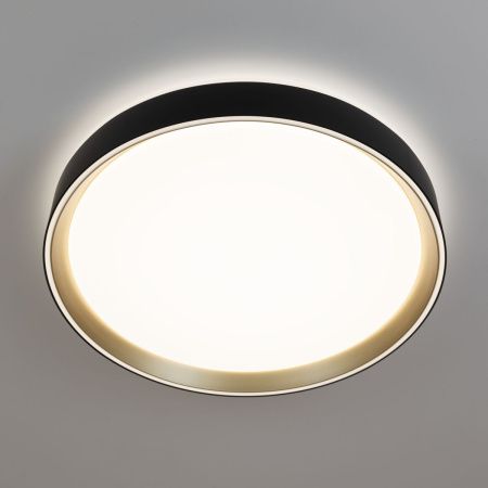 Светильник потолочный музыкальный Citilux Boss (Босс) CL751351G