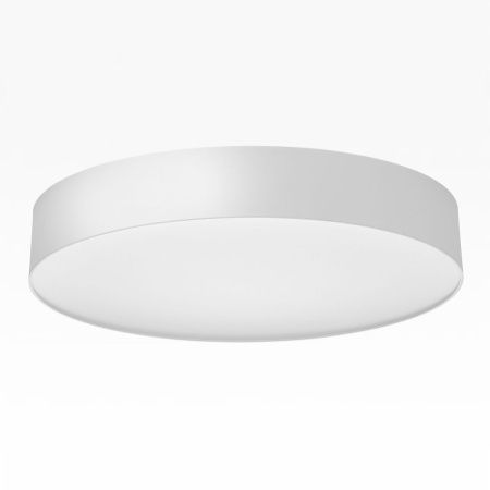 Светильник накладной Citilux Bart (Барт) CL755390
