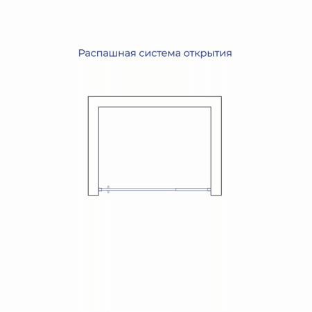 Душевая дверь RGW Passage (Пассаж) 350800878-11 70х195 стекло прозрачное профиль хром