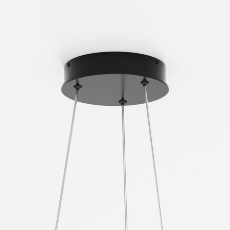 Люстра подвесная Maytoni Rim Modern MOD058PL-L22BK