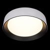Светильник потолочный Loft It Coin 10202 WB