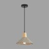 Светильник подвесной Lumion Eoliana (Еолиана) 8351/1A