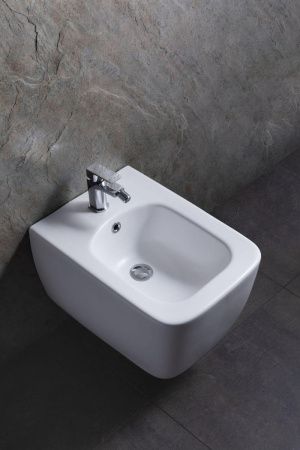 Биде подвесное Allen Brau Liberty 4.33010.21 цвет белый