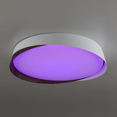 Светильник потолочный музыкальный Citilux Bonny (Бонны) CL754350G