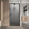 Душевая дверь Niagara Nova NG-34-L9CHGR 90х195 стекло шиншилла профиль графит