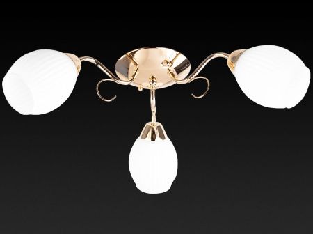 Люстра потолочная Toplight Kristin (Кристин) TL3520X-03FG