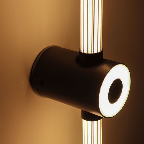 Светильник настенный Arte Lamp Atmos (Атмос) A3616AL-1BK - фото 4