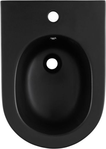 Биде напольное Allen Brau Reality 4.32005.31 цвет черный - фото 4