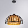 Светильник подвесной Arte Lamp Woodstock (Воодстоцк) A7071SP-1BK