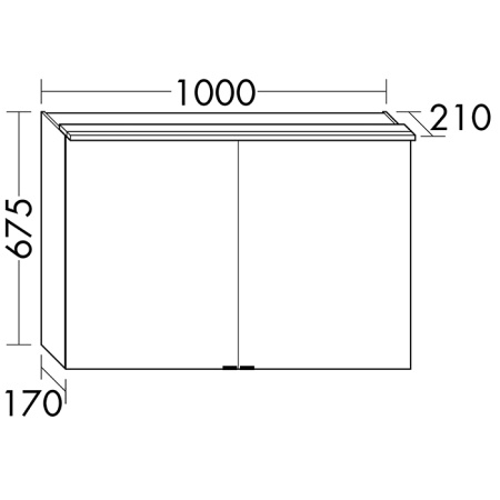 Зеркало-шкаф Burgbad Yumo SPIY100 F3193 100х21х67 подвесной цвет белый глянцевый/серый антрацит