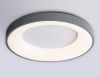 Светильник потолочный Ambrella Light Design (Десигн) FZ1402