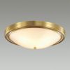 Настенно-потолочный светильник Lumion Vintage (Винтаге) 5259/4C