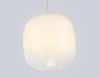 Светильник подвесной Ambrella Light Modern (Модерн) LH11091