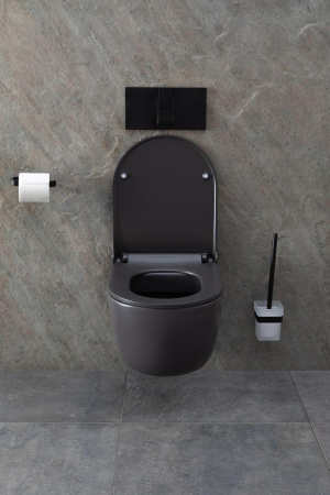 Чаша унитаза подвесная Allen Brau Priority 4.31002.AN цвет черный без сиденья безободковая каскадный смыв