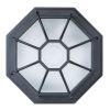 Уличный потолочный светильник Arte Lamp Pegasus (Пегасус) A3100PL-1BK