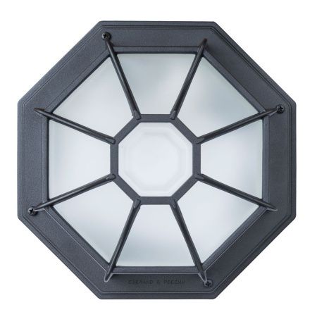 Уличный потолочный светильник Arte Lamp Pegasus (Пегасус) A3100PL-1BK