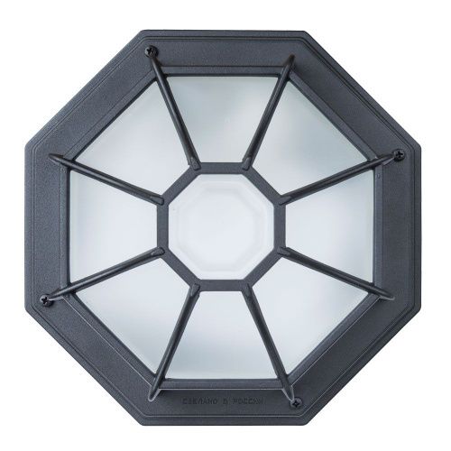 Уличный потолочный светильник Arte Lamp Pegasus (Пегасус) A3100PL-1BK - фото 3