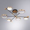 Люстра на штанге Arte Lamp Holly (Холлы) A1364PL-6PB