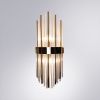 Светильник настенный Arte Lamp Acapulco (Ацапулцо) A1007AP-2GO